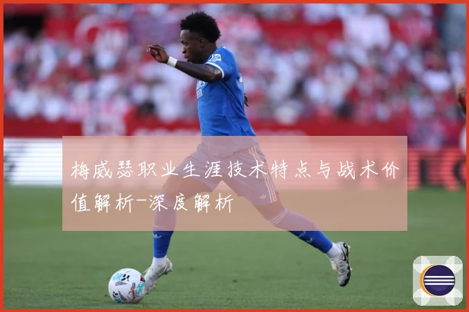 梅威瑟职业生涯技术特点与战术价值解析-深度解析