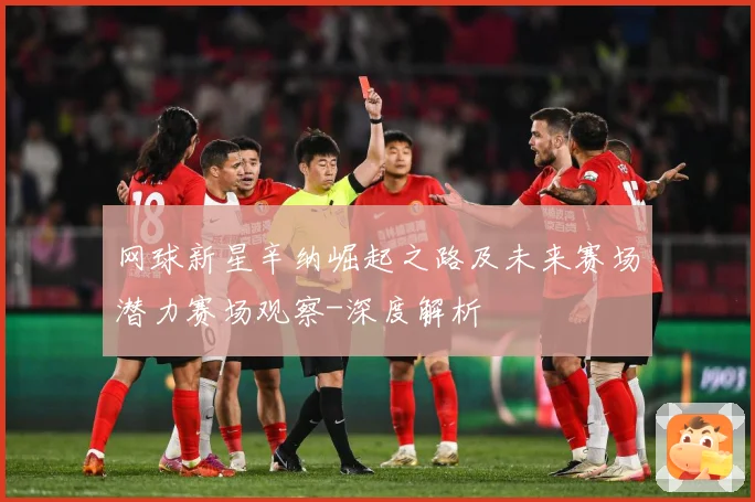 网球新星辛纳崛起之路及未来赛场潜力赛场观察-深度解析