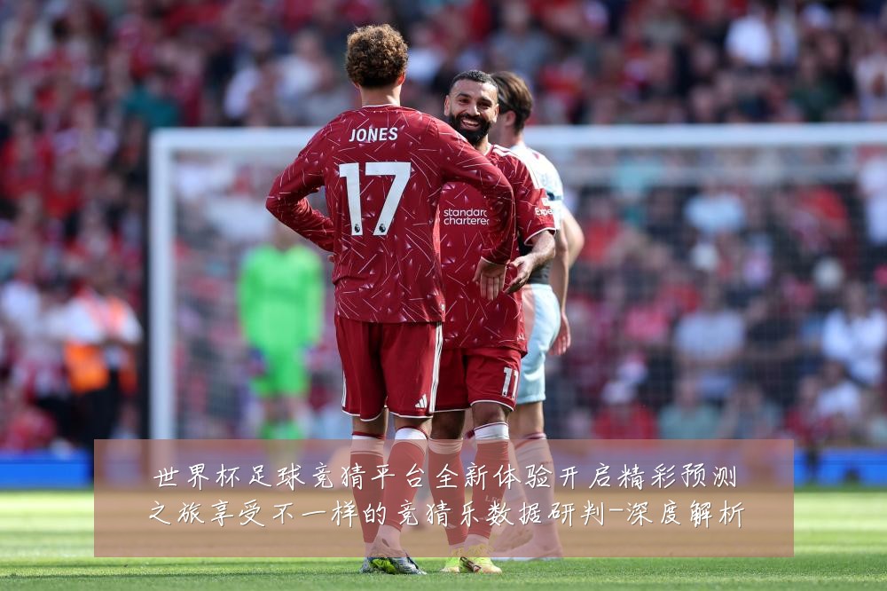 世界杯足球竞猜平台全新体验开启精彩预测之旅享受不一样的竞猜乐数据研判-深度解析